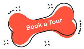 https://dresspets.com/wp-content/uploads/2019/08/book_tour.png